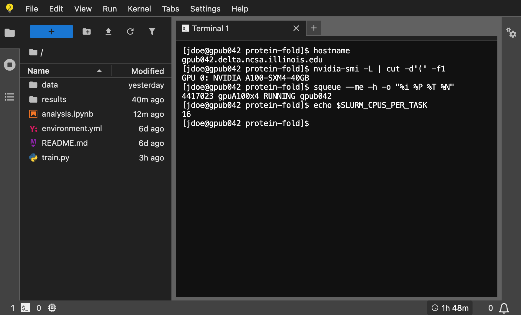 JupyterLab connected to the session: the file browser at the root folder, a terminal where hostname prints gpub042.delta.ncsa.illinois.edu, and 1h 48m left in the status bar