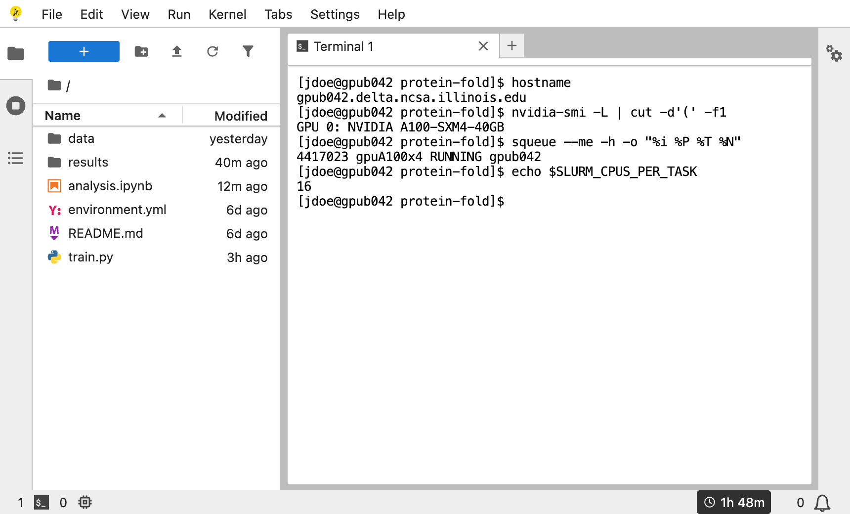 JupyterLab connected to the session: the file browser at the root folder, a terminal where hostname prints gpub042.delta.ncsa.illinois.edu, and 1h 48m left in the status bar